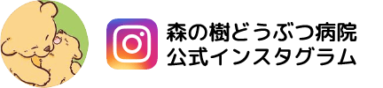 森の樹どうぶつ病院 公式インスタグラム