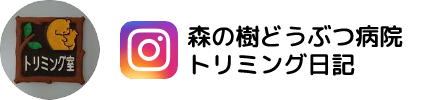 森の樹どうぶつ病院 トリミング日記