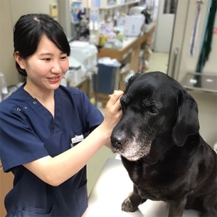 原口 野恵瑠の写真